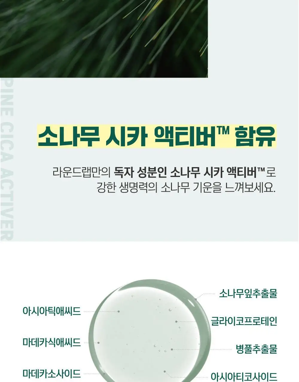 [민감진정] 라운드랩 소나무 진정 시카 토너 250ml 상세페이지 10